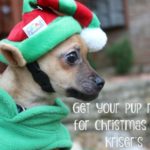 Are you and your pup ready for Christmas? Kriser’s helped Gilbert be picture ready!