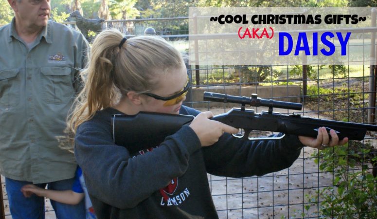 Looking for cool Christmas gifts? Daisy’s got you covered. {$100 Academy Giveaway}