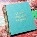 I got my Luxe Gold Life Planner and I’m in love!! Check it out…