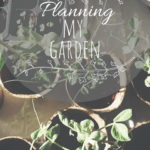Is it too early to plan my Spring Garden?